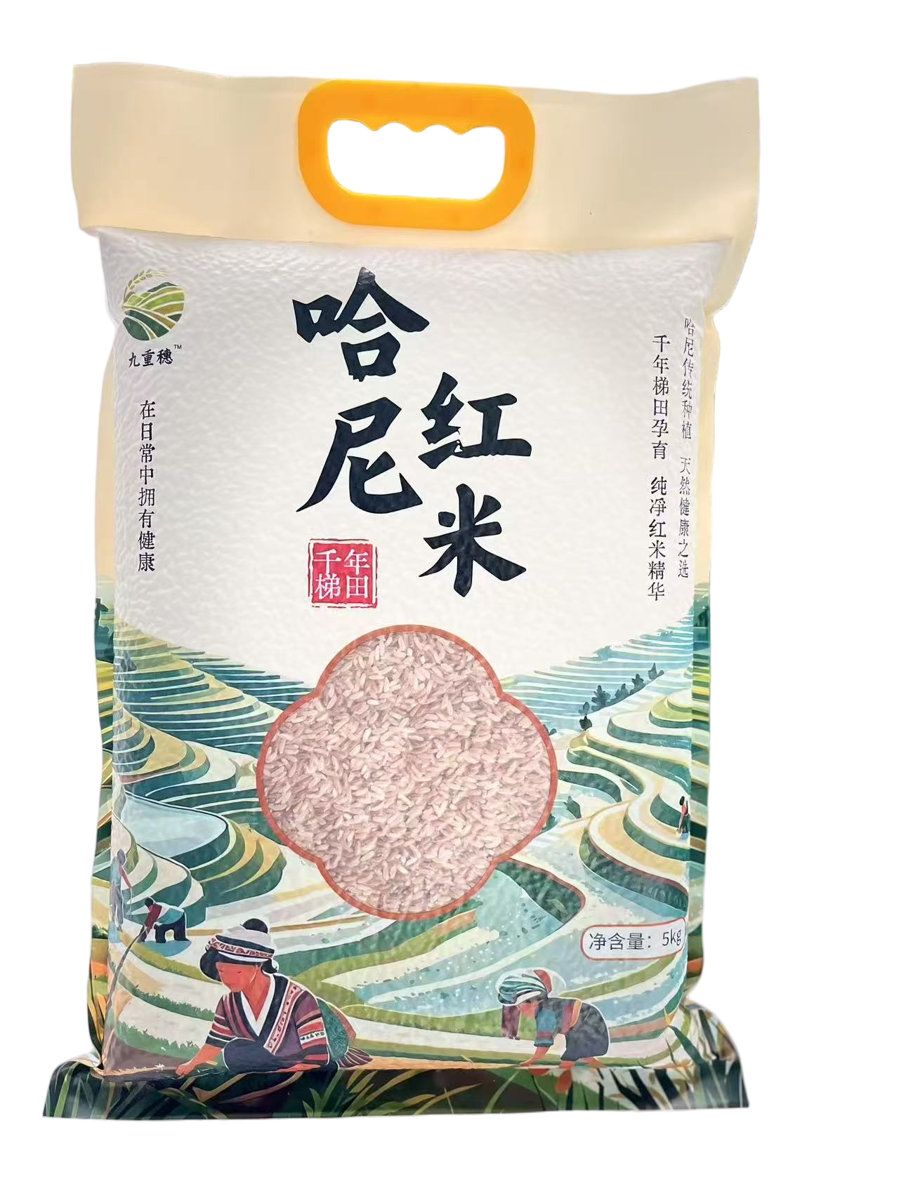 梯田哈尼红米
