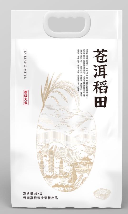 苍洱稻田